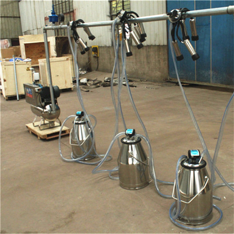 Farming System & Sustainable Agriculture - Milking Machine, Fixed System with Buckets,
