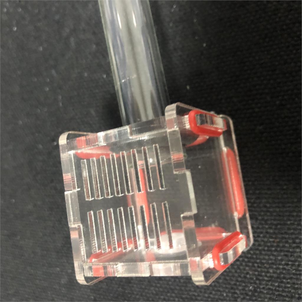 New Mini 1pcs Glass Tubes Ant  - Farming Zone 评论和价格