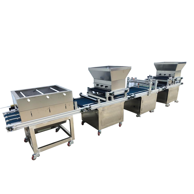 500-600 Trays Per Hour Fully A - Nursery Plug Tray 评论和价格
