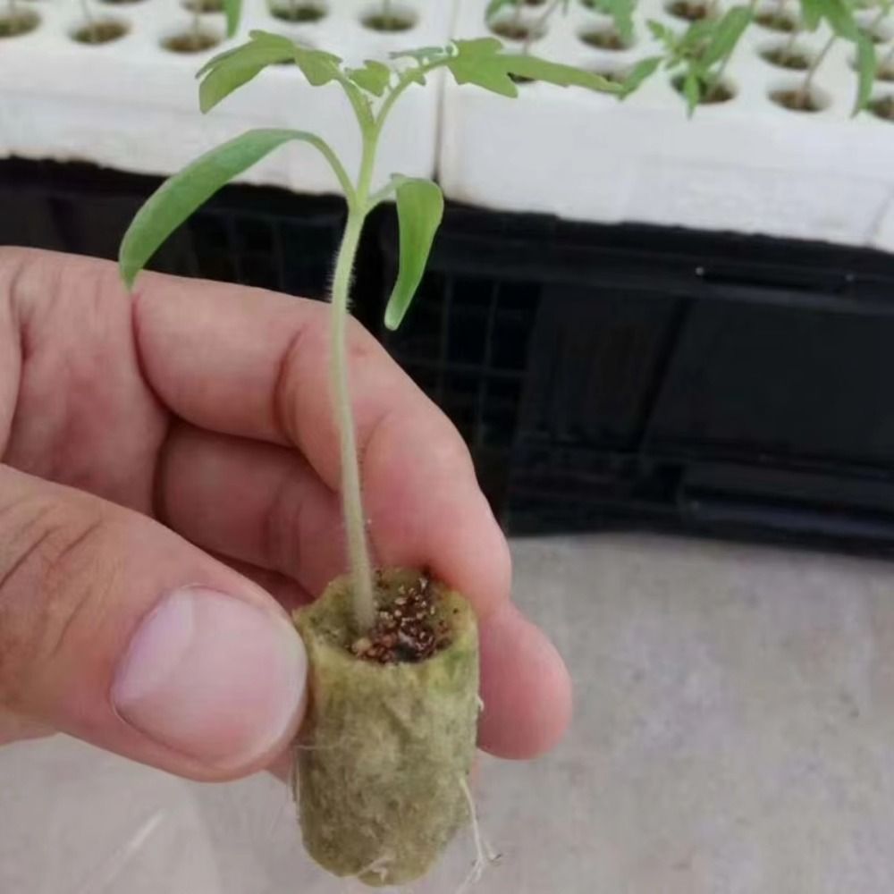 50PCS 27*20mm Size Hydroponic  - Nursery Plug Tray 评论和价格