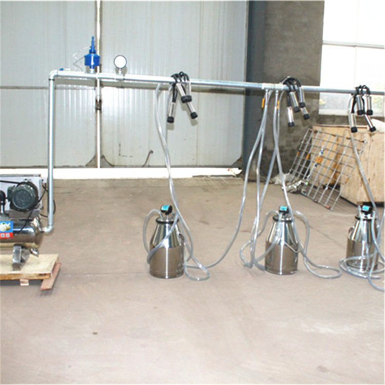 Milking Machine, Fixed System  - Farming System & Sustainable Agriculture 评论和价格